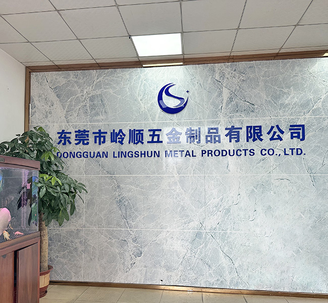 Dongguan Ling Shun Hardware Products Co., Ltd.